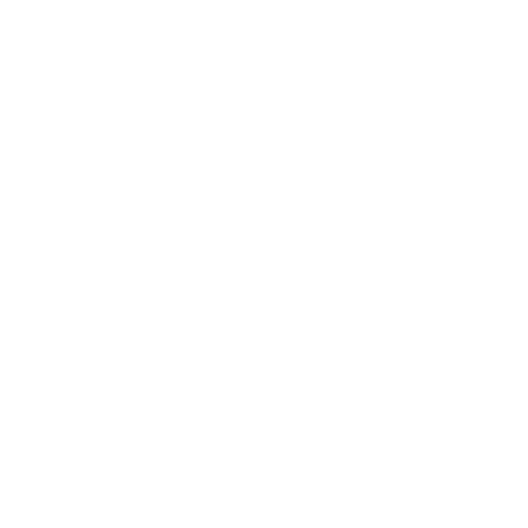 Ford-Logo