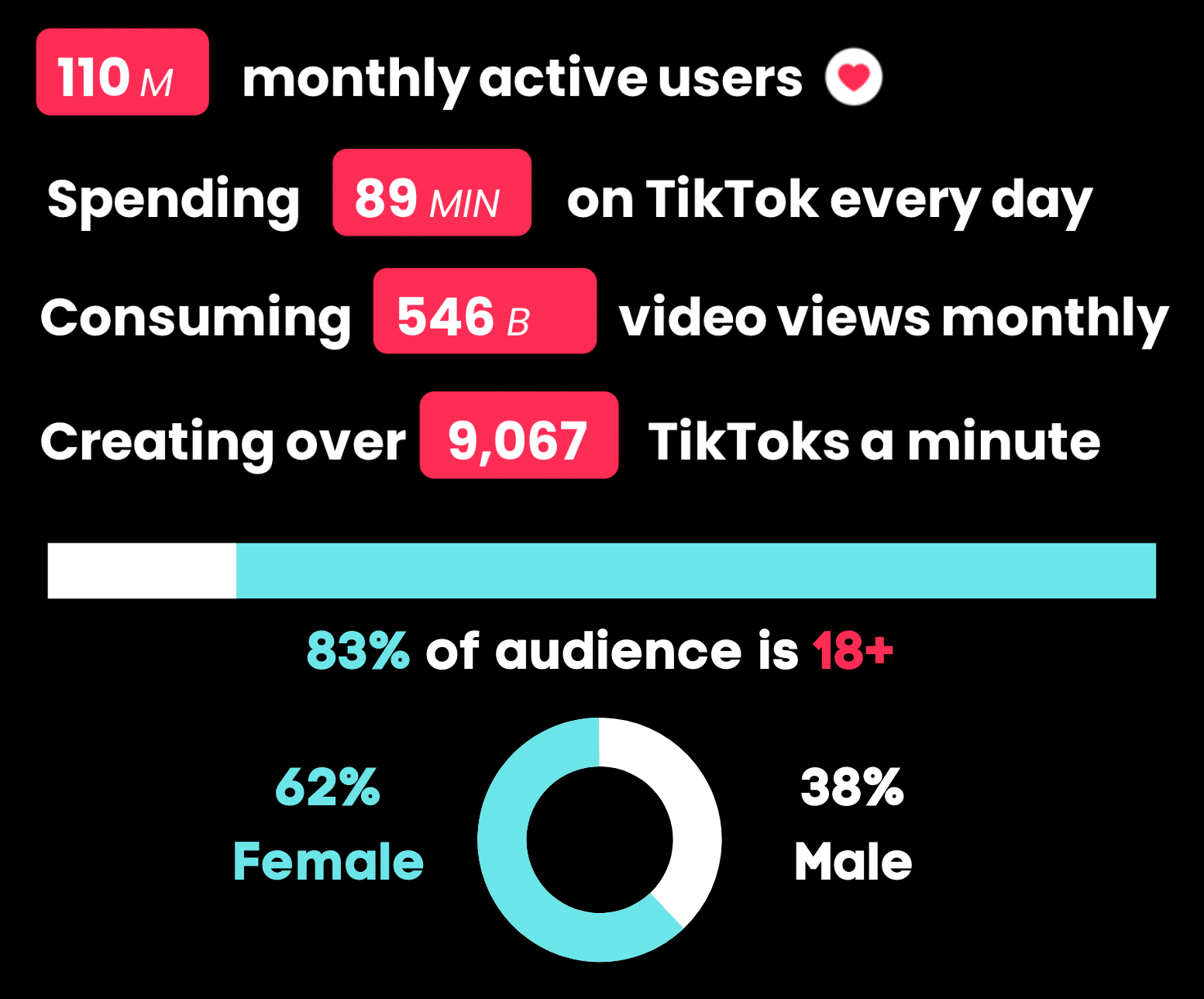 Snapchat Audience Insights Dashboard